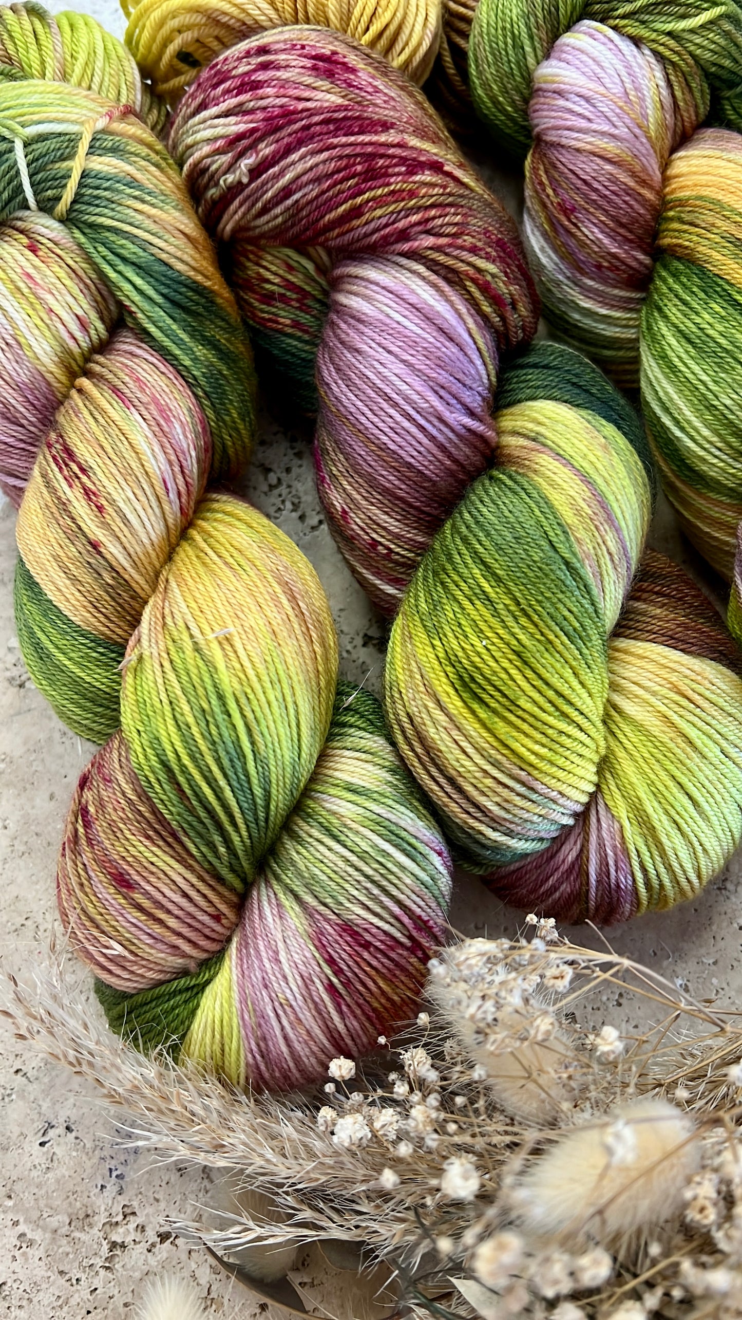Mousse et lichen